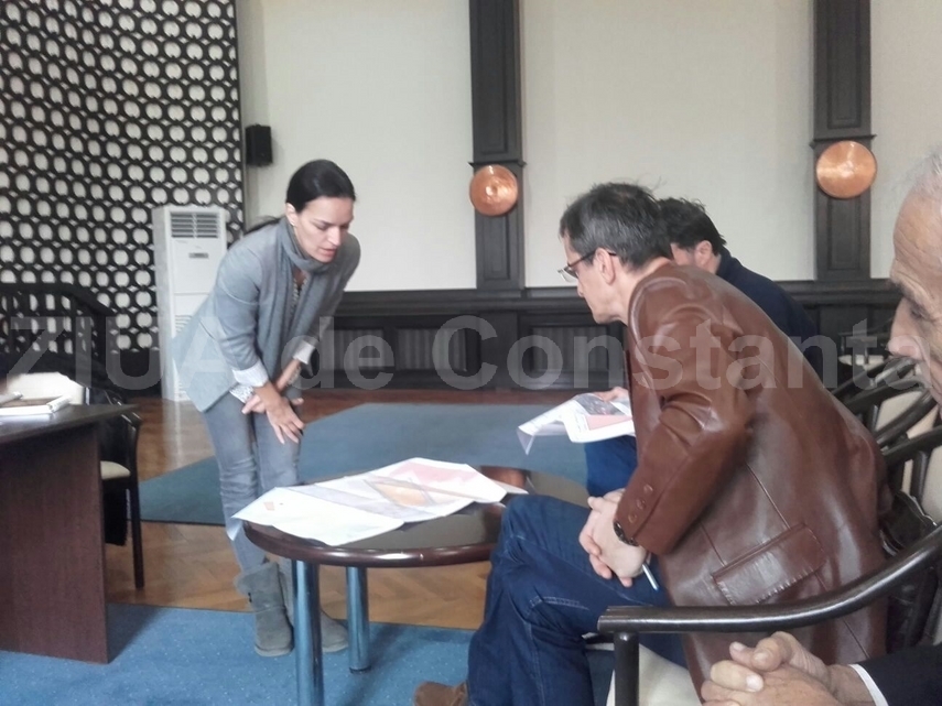 ce au solicitat constantenii prezenti la dezbaterea publica pentru puz ul initiat de notarul steluta