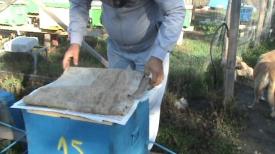 Agrointel.ro Împachetarea stupilor pentru iarnă. Trei metode testate cu succes de apicultori