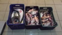 Pescar amator depistat de jandarmi