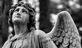 Anunţuri, 7 octombrie 2016