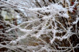 Ger de crapă pietrele. Temperatura a ajuns la minus 9,2 grade Celsius în Harghita