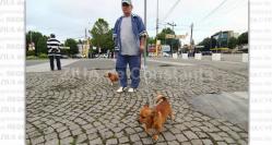 Primăria Constanţa ne „indică“ unde să ne plimbăm căţelul