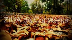 Cum va fi vremea în Dobrogea în următoarele două săptămâni