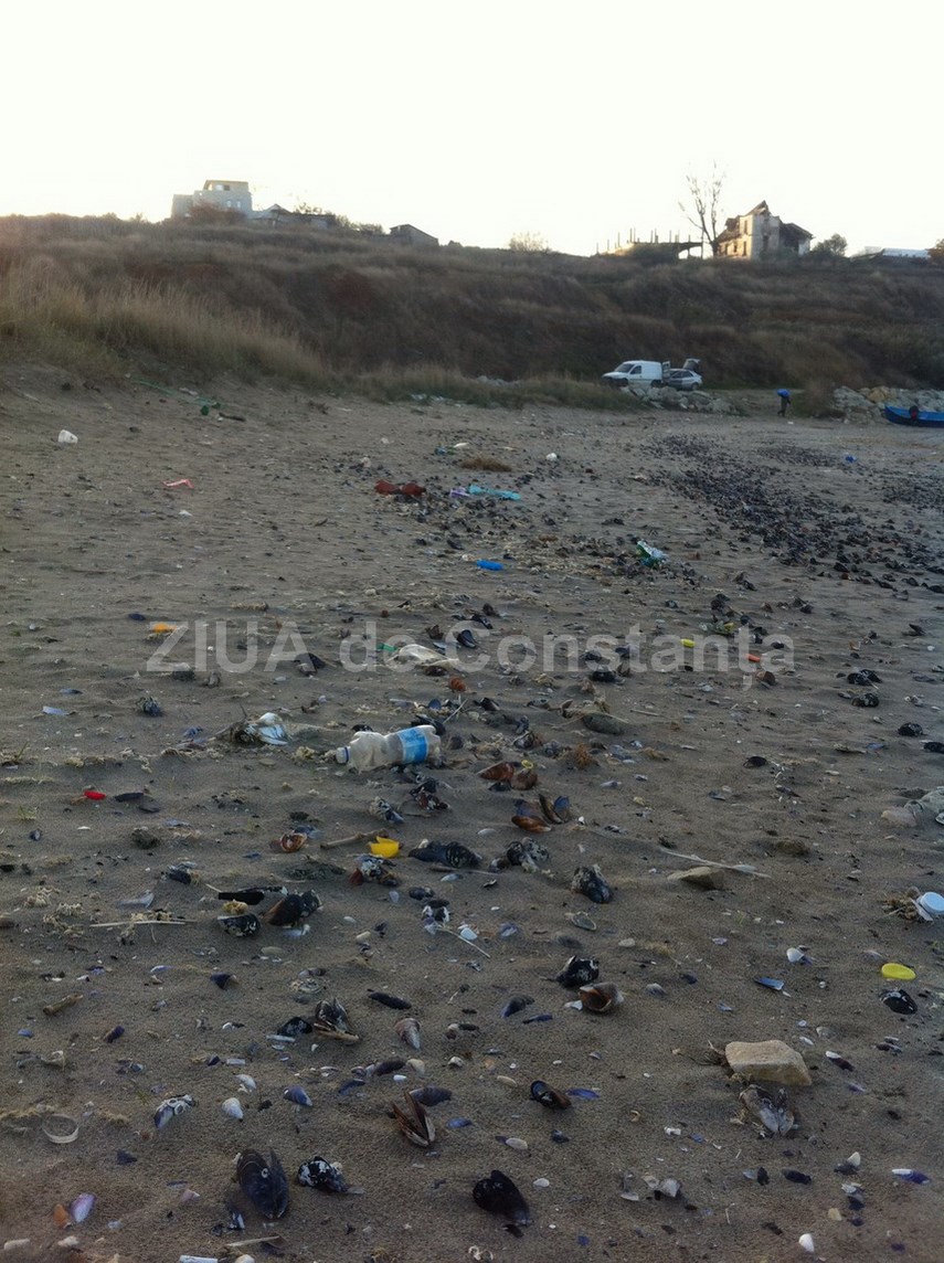 update o plaja din eforie sud sufocata de gunoaie abadl promite controale 613824