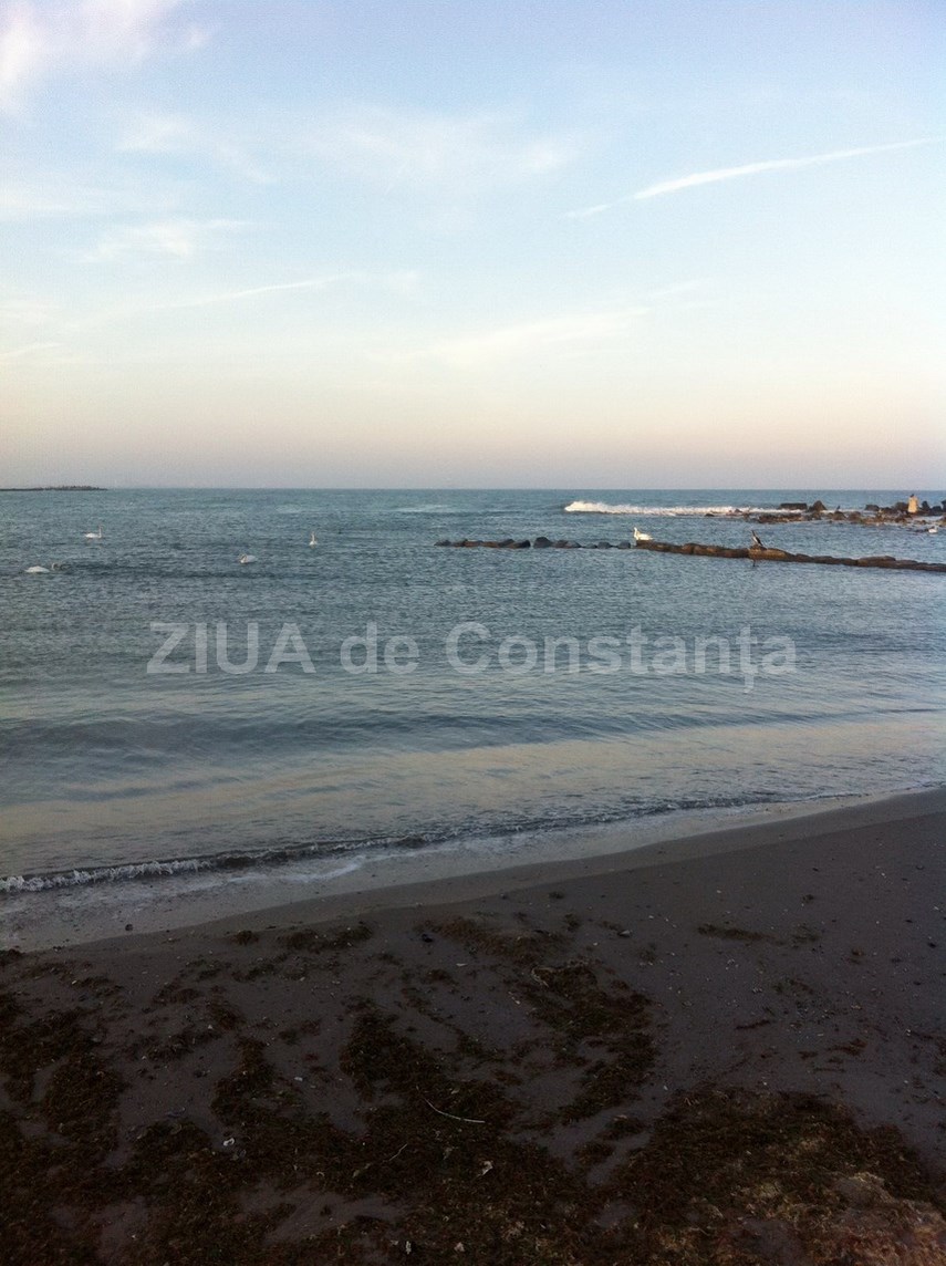 update o plaja din eforie sud sufocata de gunoaie abadl promite controale 613824