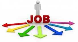 Primăria Costinești caută inspector și referent