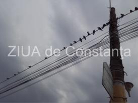 S-a întrunit Comandamentul pentru Situații de Urgență în Primăria Constanța