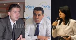 Candidaţii ALDE pentru Senat şi averile lor Colecţii de tablouri, bijuterii şi obiecte de artă (documente) 