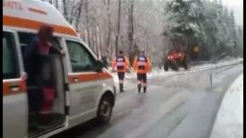 Drumuri înzăpezite în Maramureş. O ambulanţă în misiune, blocată din cauza unui copac care a căzut pe drum