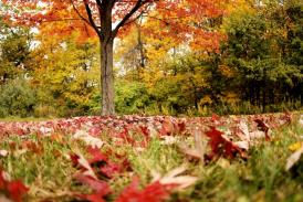  ANM Temperaturile, ușor peste normal pe partea de sud a teritoriului, în noiembrie și decembrie