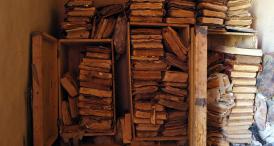 Vajnicii oşteni ai literaturii universale