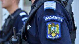 Proiect Jandarmii pot folosi arme cu tranchilizante contra animalelor periculoase