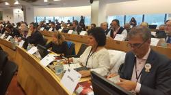 Ziua Națională a României, marcată și la Bruxelles! Mesajul de sărbătoare, transmis de primarul comunei Cumpăna, Mariana Gâju (galerie foto)