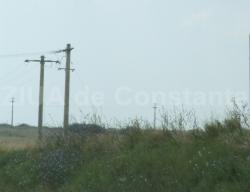 14.000 de metri pătraţi ar putea intra în intravilanul oraşului Ovidiu! Trei investitori doresc modificarea Planului Urbanistic Zonal