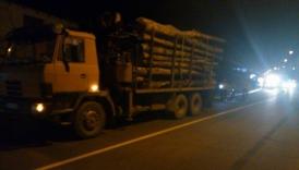  Un bărbat din Ovidiu prins cu lemne furate 