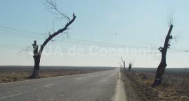 RAJDP Constanţa se pregăteşte pentru deszăpeziri (document)