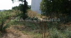 Se pregăteşte o investiţie imobiliară în cartierul Coiciu din Constanţa