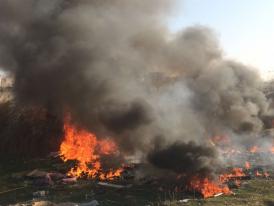 Incendiu la marginea oraşului Constanţa! (galerie foto)