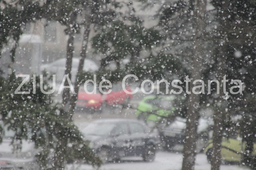 atmosfera de basm la constanta cei mai fericiti sunt copiii fotoreportaj 618487