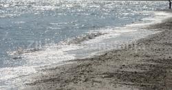 ABADL caută o firmă pentru pază şi intervenţie rapidă (document)