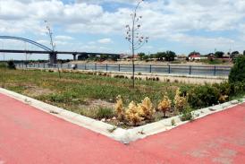  AM-PM Fiscont SRL, cu un singur angajat, a reabilitat parcurile din Medgidia. Câţi bani a primit de la primărie (document)