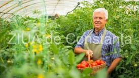 Agrointel.ro  APIA efectuează plăţi de ultimă oră!