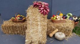 România rămâne cu deficit la comerțul cu produse agroalimentare, după primele trei trimestre din 2016