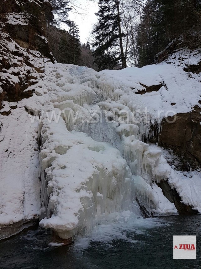 fotoreportaj cascada pruncea casoca din buzau atinsa de gerul iernii peisaj de poveste 619604