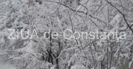  Constanța. Coduri Galbene simultane. Pregătiri de Cod Roșu. Ce spun meteorologii. Cât ține vremea extremă   