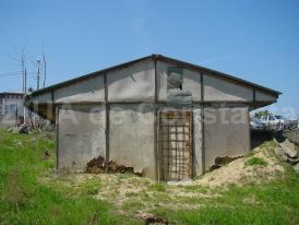 Încă un pas până la restaurarea Mormântului Pictat Hypogeu. Primăria Constanţa a eliberat certificatul de urbanism