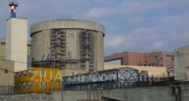 Licitaţie la Nuclearelectrica SA! Pune la bătaie 95.000 de lei, fără TVA (document)