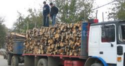Cine livrează lemn pentru ajutoarele de încălzire oferite de Serviciul Public de Asistenţă Socială Constanţa