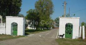 Un nou termen în dosarul insolvenţei Fermei Nazarcea, administrată de Arhiepiscopia Tomisului