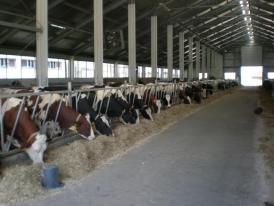Agrointel.ro Anchete în 330.000 de ferme începând de săptămâna aceasta!