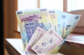 Instabilitate monetară. Leul, în cădere liberă   