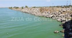 Dezbatere publică pentru reabilitarea digului de sud din Portul Midia 