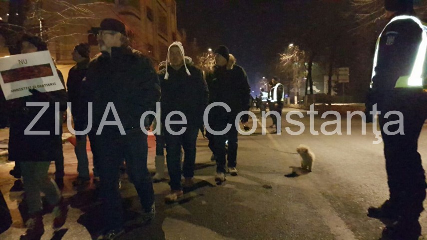constantenii se strang din nou la prefectura 622455