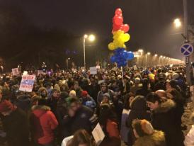 Iulian Gropoşilă, printre protestatarii din București (galerie foto)