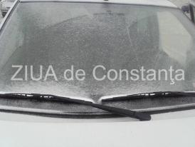 Ninge mărunt la Constanţa 