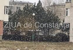 Ninge ca în poveşti la Medgidia (galerie foto) 