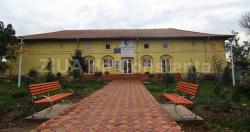 Spectacol inedit de Ziua Femeii, în comuna Topalu