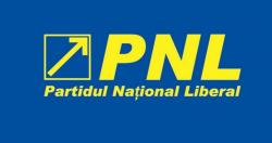 Deputatul Robert Boroianu, atac la Guvern. Spune despre apropiaţii Executivului că sunt abonaţi la banii publici