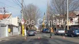 Traficul a fost blocat. Se toaletează copacii de pe strada Ion Lahovari