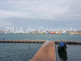 Vine primăvara? Prognoza meteo pentru următoarele zece zile. Ce vreme vom avea în Dobrogea