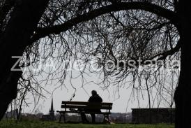 Poezia Zilei Departe, dincolo de visul tău – Irina Lucia Mihalca