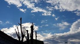 Anunțul meteorologilor. Vreme deosebit de caldă în sud-estul României 