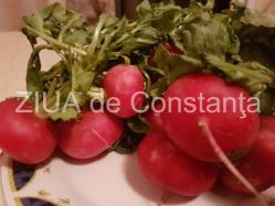 Proprietățile terapeutice ale ridichei roșii