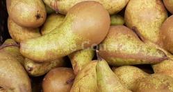 Perele, fructe care ajută foarte mult persoanele cu diabet zaharat