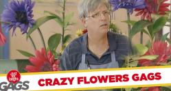 Funny video Flori nebune....