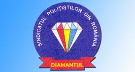 Protestele polițiștilor. Solicitarea Sindicatului  „Diamantul” către Ministerul Afacerilor Interne